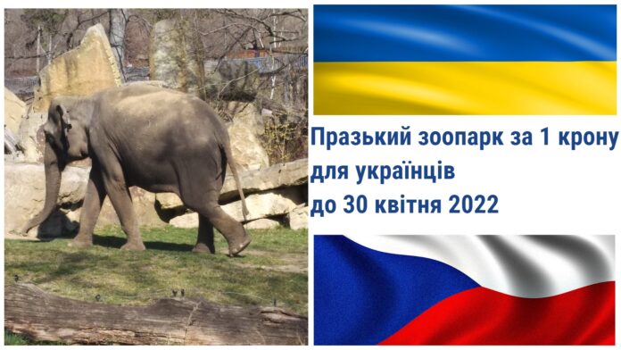 Празький зоопарк для українців