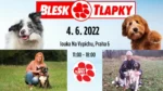 Blesk Tlapky фестиваль для собак