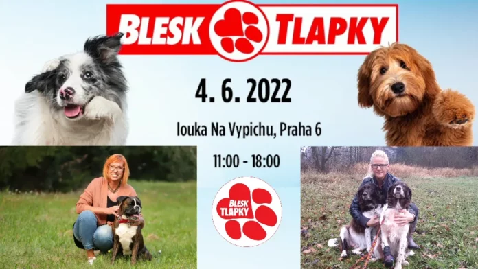 Blesk Tlapky фестиваль для собак