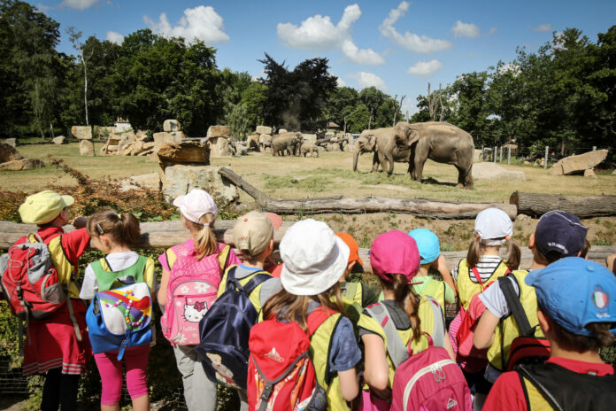 День дітей в Празькому зоопарку