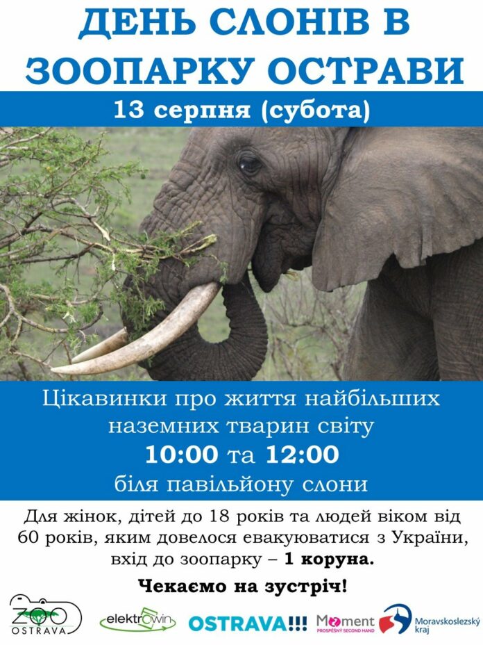 День слонів