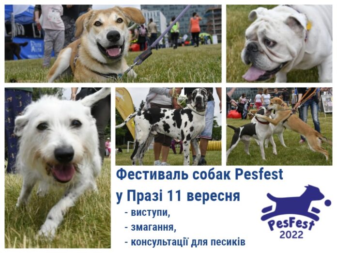 pesfest 2022. Фестиваль собак у Празі