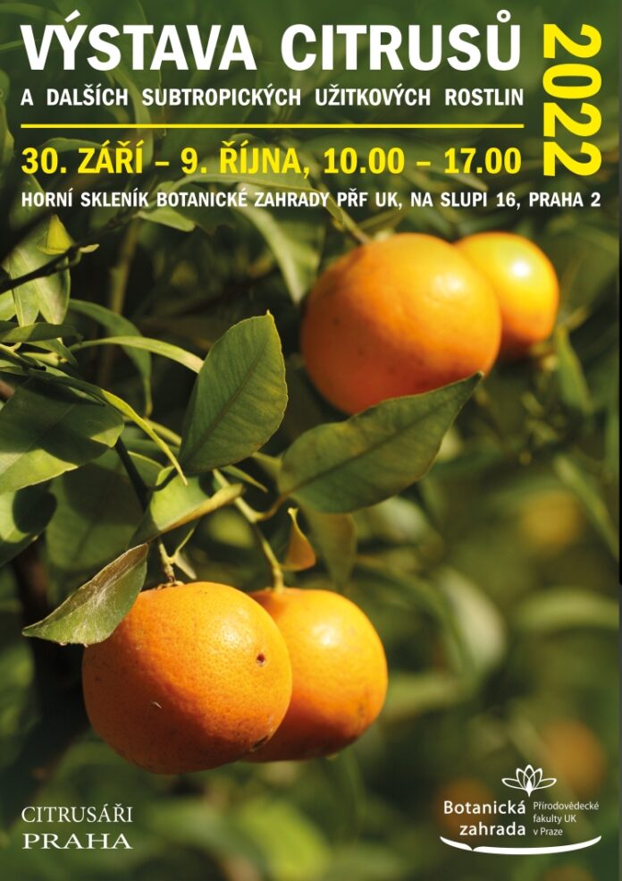 Výstava citrusů 2022