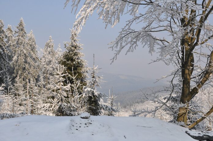 Негода у Чехії сніг