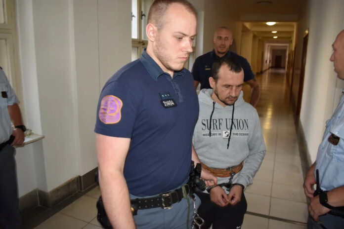 українець вбив співвітчизницю